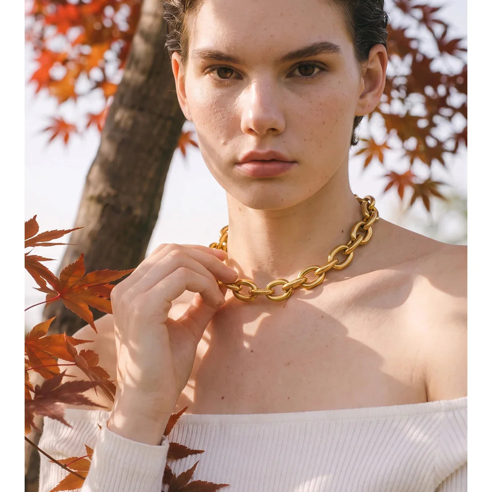 Collar de eslabones en acero inoxidable · Catena